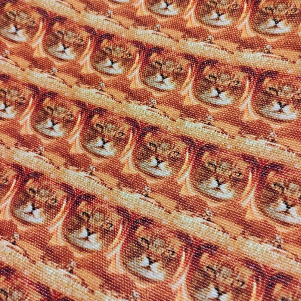 Back pack with cat design